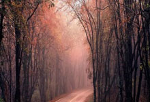 克雷桑晒合照祝莫伊塞斯生日快乐,两人做出个人经典庆祝动作.