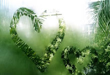 竞者 | 从脊柱侧弯到奥运冠军 张雨霏赛季首秀难言满意.